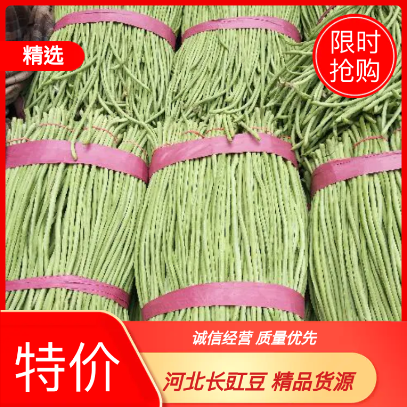 精品长豆角60厘米以上保质保量保服务量大从优