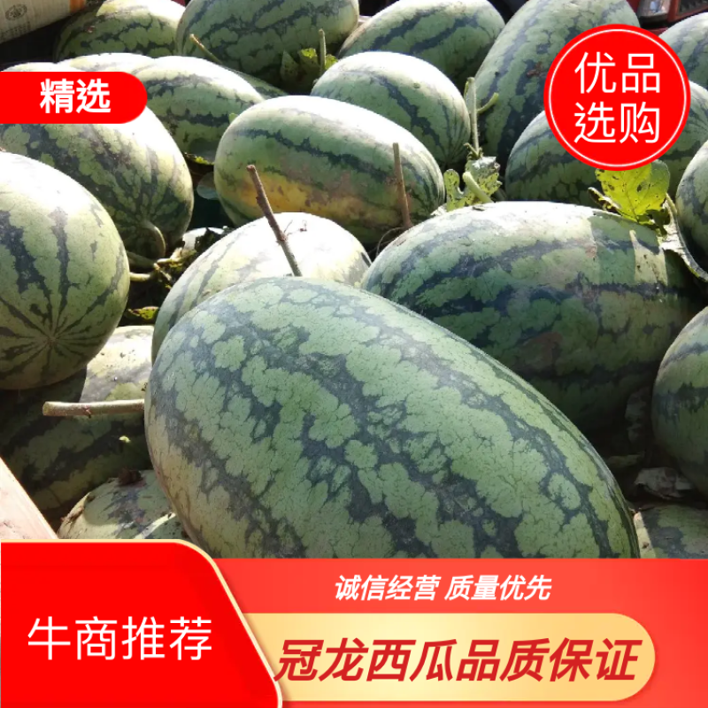 开封冠龙西瓜直生苗不嫁接口感好！九成熟，一手货
