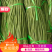 精品豆角！田间地头收货！一手货源实力代办！代发全国各地！