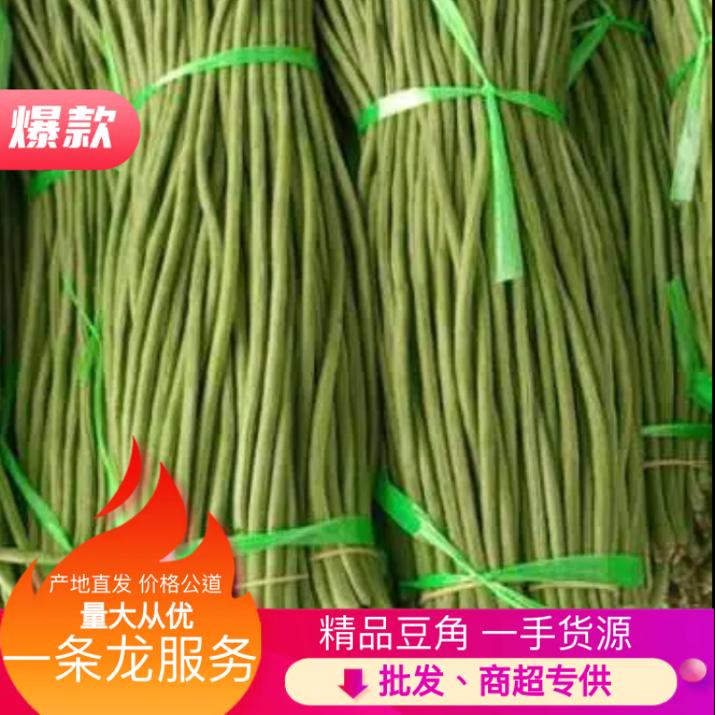 精品豆角！田间地头收货！一手货源实力代办！代发全国各地！