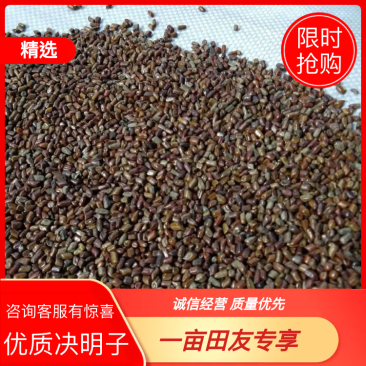 优质决明子山西决明子一件代发包邮做枕头，炒熟泡茶