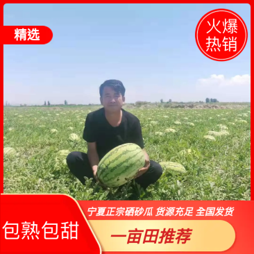 【精品】宁夏正宗硒砂瓜全国发货产地直供批发包熟包甜！