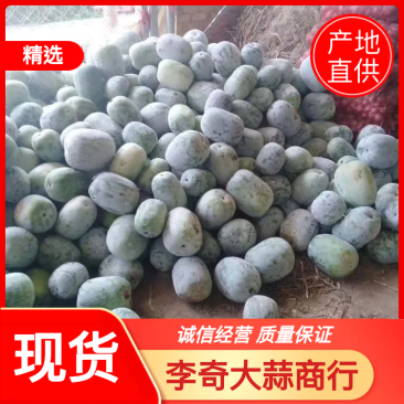 产地直供《一串玲小白瓜》诚信代办！货量充足！支持全国发货！