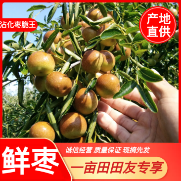 一件代发，大荔冬枣～抖音～快手～各大电商～大量现货