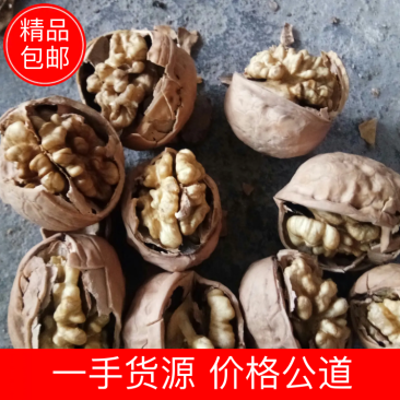 A2024新疆核桃一手货源价格公道!质量有保证