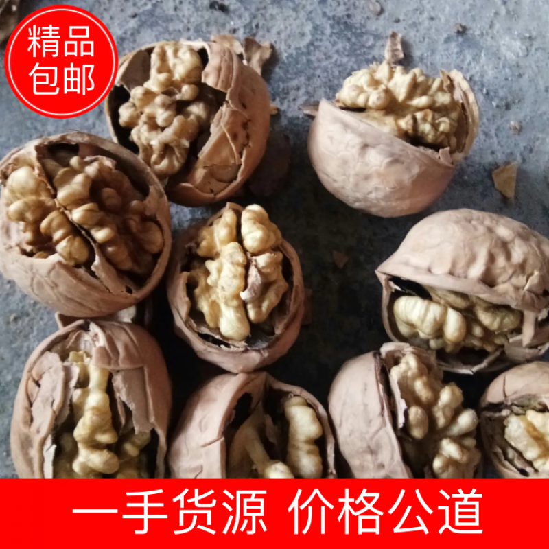 A2024新疆核桃一手货源价格公道！质量有保证