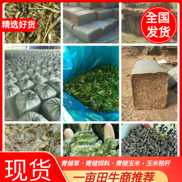 青储草、青储饲料、青储玉米，压块玉米秸秆