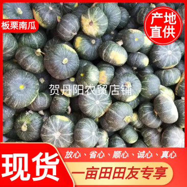 内蒙古绿板栗南瓜专业供货货量大质量过关一手货源