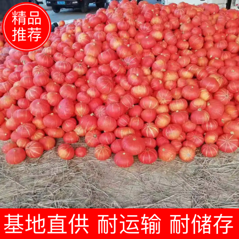 内蒙古红板栗南瓜专业代收品质好货源足一手货源