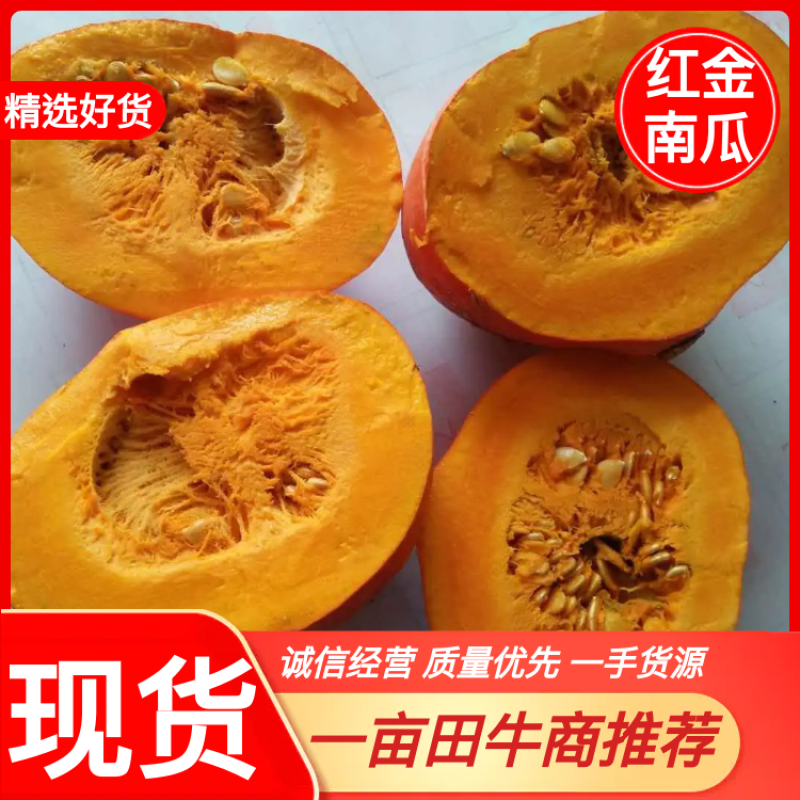 内蒙古红板栗南瓜专业代收品质好货源足一手货源