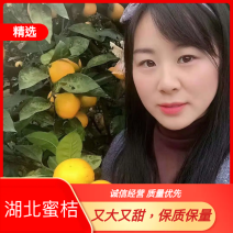 精品蜜桔又大又甜，保质保量欢迎咨询订购