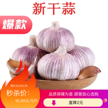 【包邮大蒜新大蒜紫皮蒜，2025新蒜干蒜单县金乡产地直供