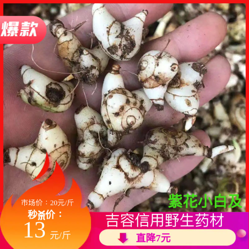 紫花小白芨，去须小白及，无黑块茎，一手货源，可全国发货