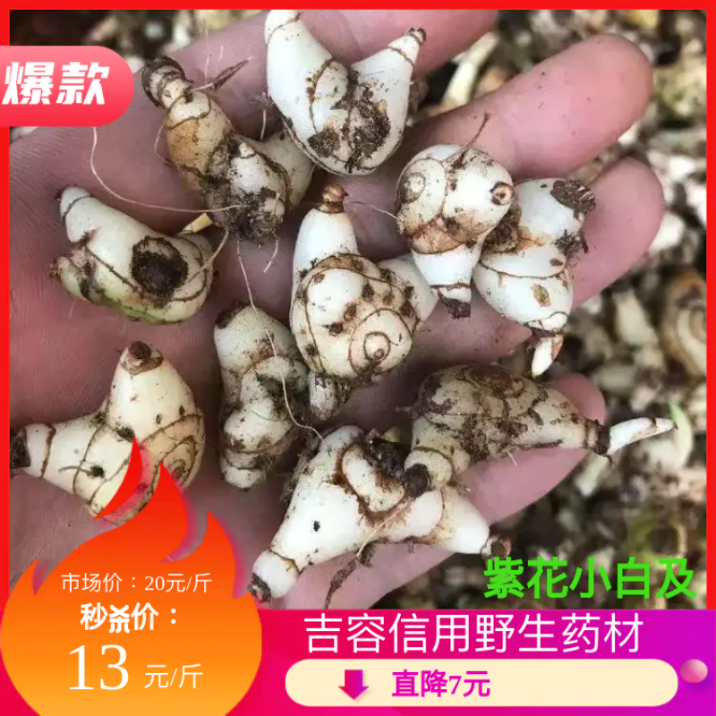 紫花小白芨，去须小白及，无黑块茎，一手货源，可全国发货