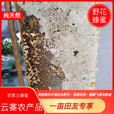 农家土蜂蜜百花蜜巢高山野花蜂蜜假一赔十0添加包邮