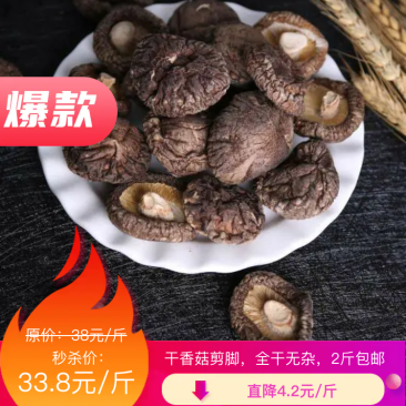 干香菇精品干香菇剪脚香干嫩特价出售包邮