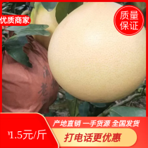 三红柚肉，红心蜜肉大量上市