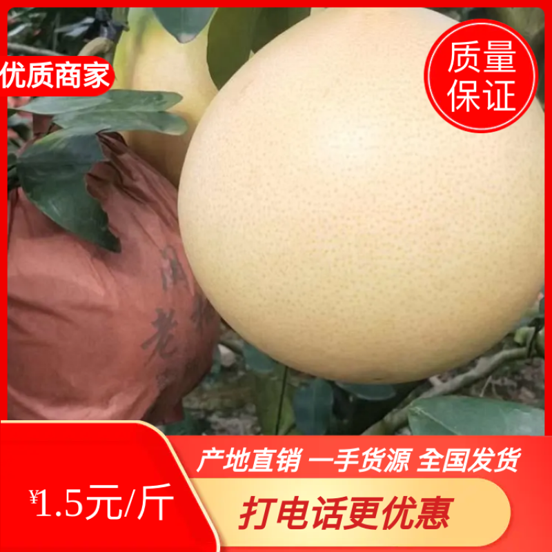 三红柚肉，红心蜜肉大量上市