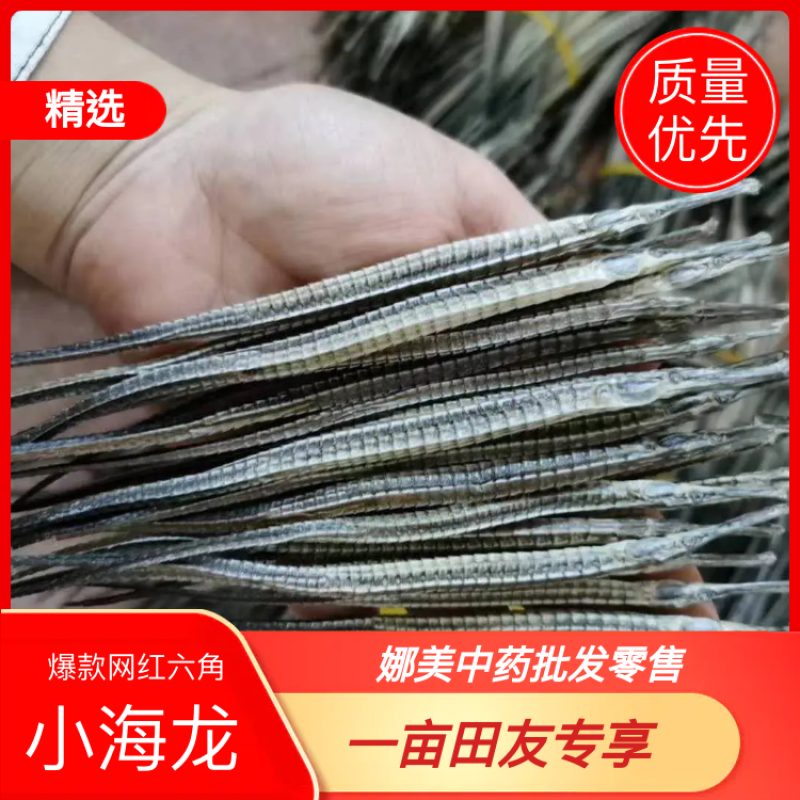 海龙六角海龙四角海龙包邮小海龙量大从优
