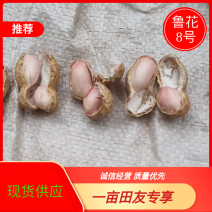 精品鲁花花生颗粒饱满质量好一手货源价格美丽