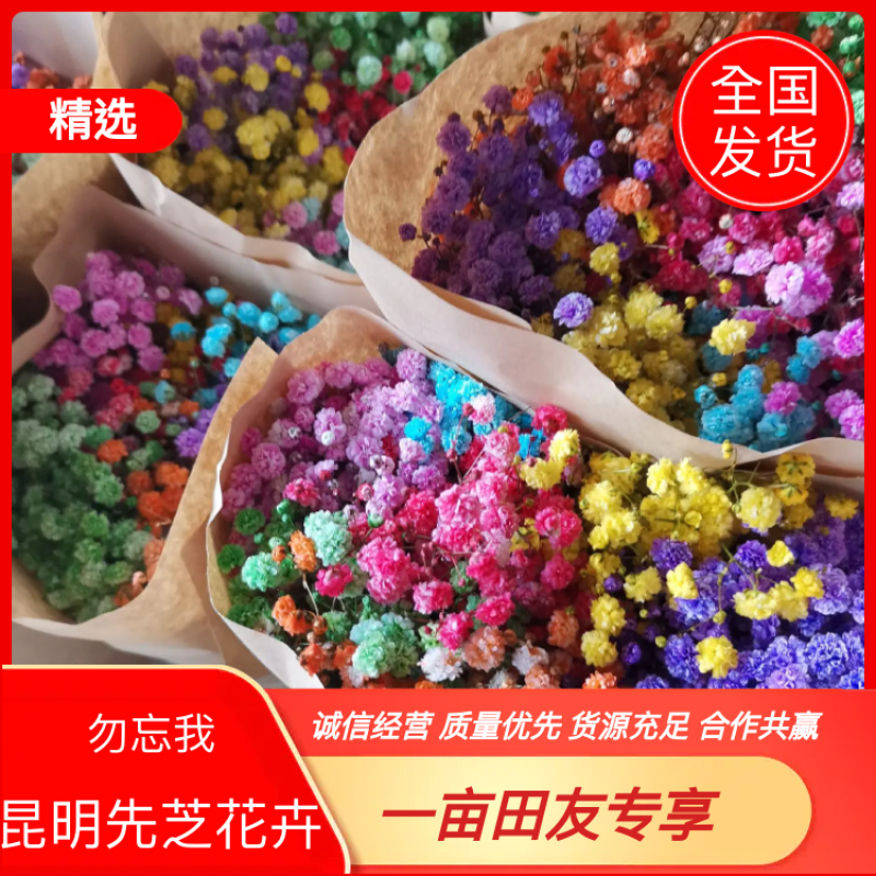 云南昆明批发市场基地直发所有鲜切花