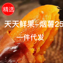 烟薯25，现货一件代发，对接电商平台，好吃，