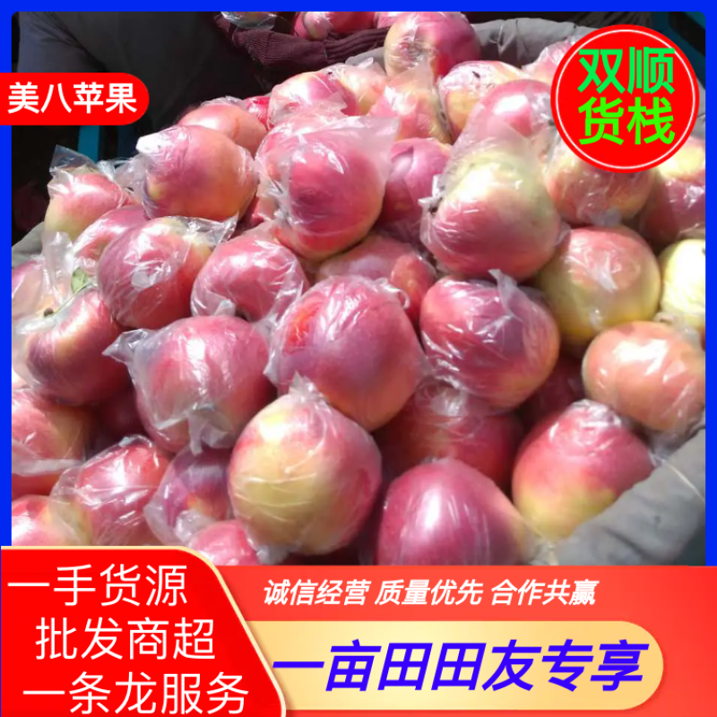 【精品】河北美八苹果大量上市货源充足质量保证一手货源