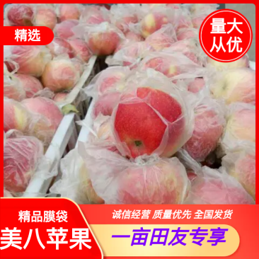 苹果，美八苹果，膜袋，货源充足保证质量，一手货源。