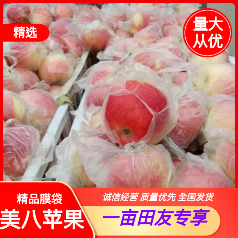 苹果，美八苹果，膜袋，货源充足保证质量，一手货源。