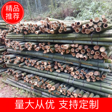 【帮农竹业】楠竹毛竹（用于大棚柱子，尾径4公分以上）