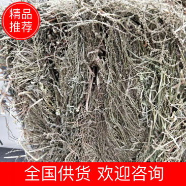 纯野生马鞭草，机压包，散包。