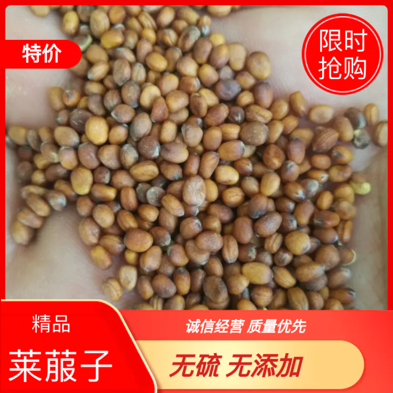 【特价】莱菔子无硫无添加，大量有货，对接各大药材店