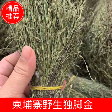 【包邮】新货香青绿柬埔寨野生独脚金靓货足干一手货源