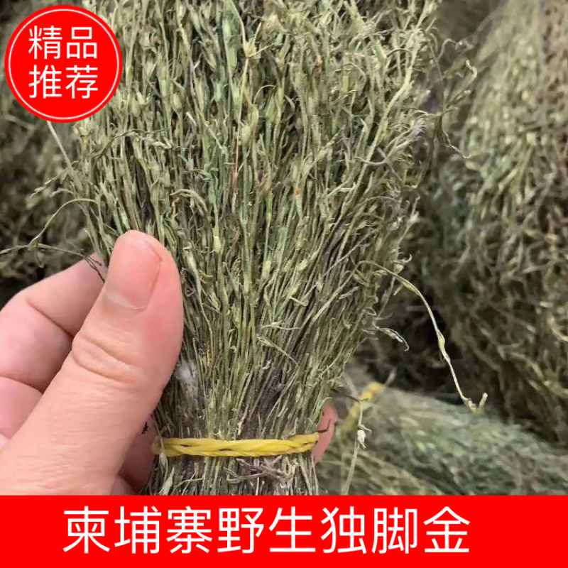 【包邮】新货香青绿柬埔寨野生独脚金靓货足干一手货源