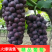 汉中【大棚,漏天户太八号夏黑葡萄】代发全国果园直供【现货