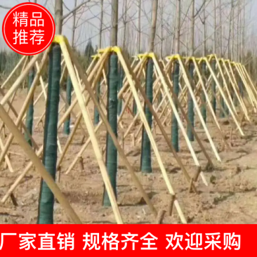 绿化树支撑杆，厂家直供，质量保障，直供全国各大苗木基地