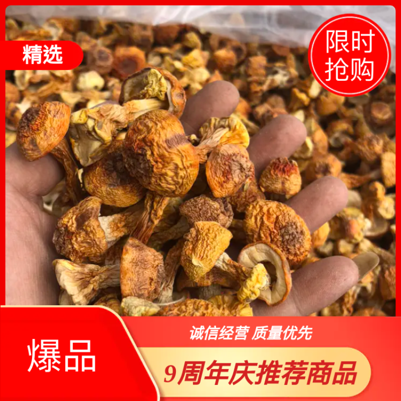 姬松茸也叫巴西菇煲汤佳品老少皆宜营养丰富