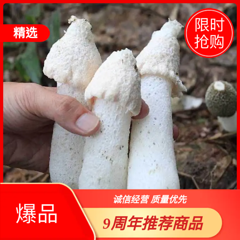 特级短裙不开伞竹荪干货今年新货无硫熏香味浓郁