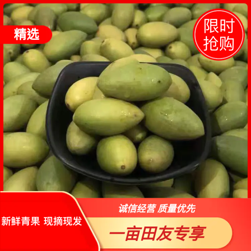 2025年新鲜橄榄果，新鲜青果。大量有货，现摘现发。