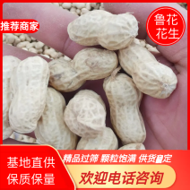 2优质鲜花生鲁花系列白沙系列沙地花生品质高全国代