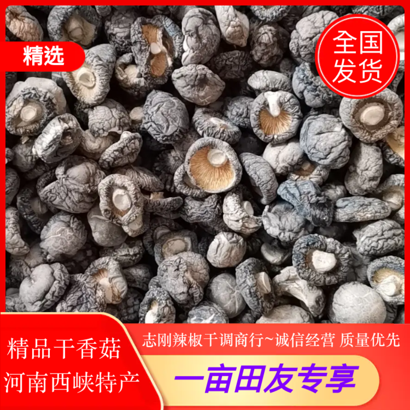 精品干香菇河南西峡特产好香菇一手货源批发全国发货常年供应