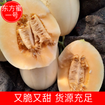 东方蜜1号甜瓜！大棚吊秧瓜，甜瓜香瓜基地！品种上百种！