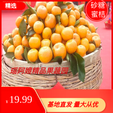 荔浦砂糖桔30-40果径特级精品5斤包邮新鲜采摘品质保证