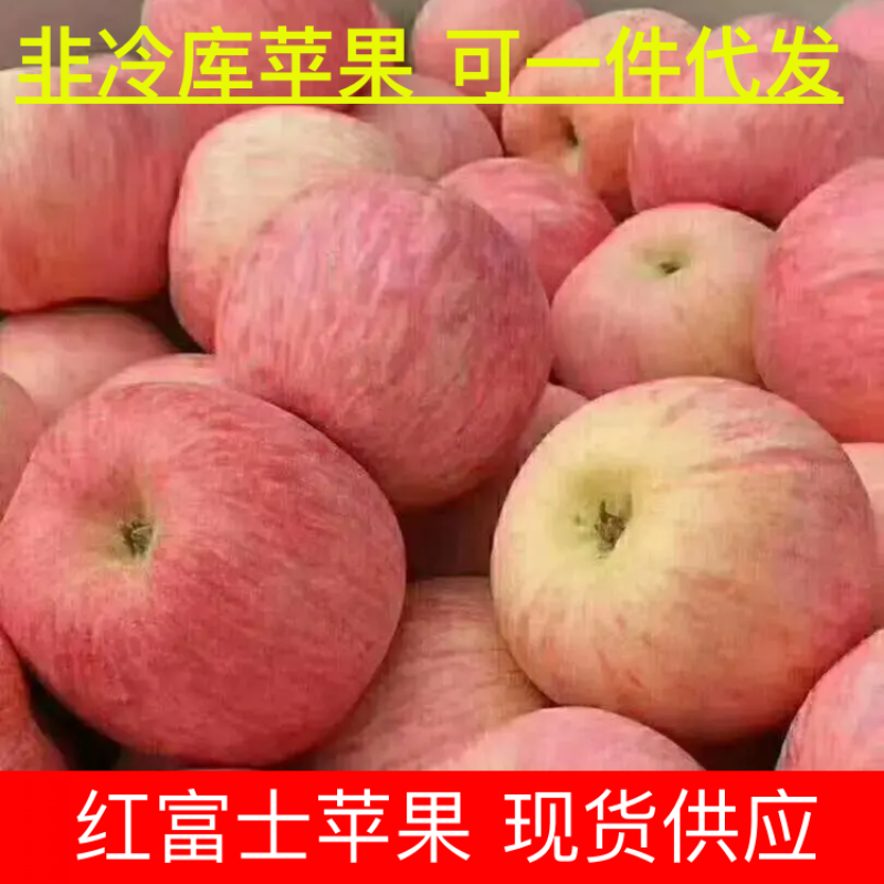 【一件代发】河北保定红富士苹果6斤装箱对接电商全国包邮