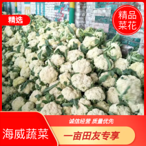 白面青梗有机花，质量保证，有专业的打包队伍冷库一条龙