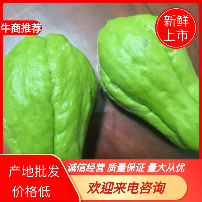 佛手瓜，绿皮佛手瓜，山东佛手瓜，年产量有五千万斤。