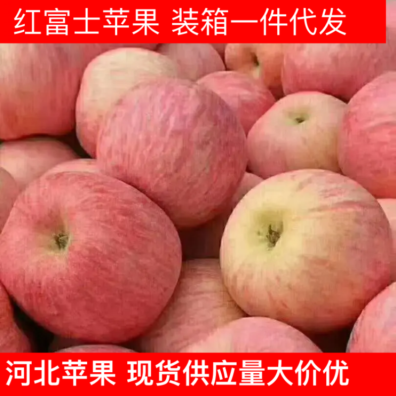一件代发河北苹果【国宴苹果】脆甜无渣产地直销下单包邮