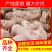【精品】二元母猪产地直销品质保证包疫苗包技术包存活