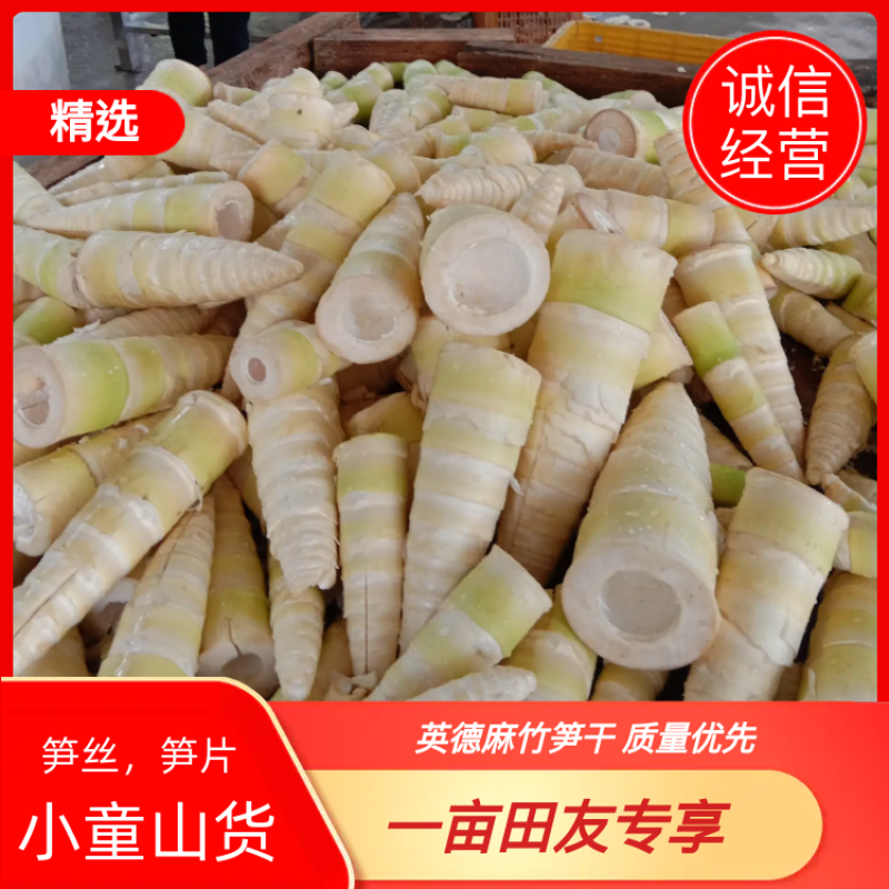 笋丝，干笋丝，英德麻竹笋干，跑江湖，展会精品干货