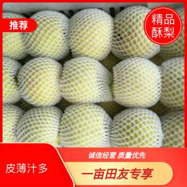 安徽砀山梨，口感甜，皮薄肉多，果形好，欢迎光临。